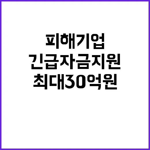 긴급자금 지원, 피해기업 최대 30억 원 지원!