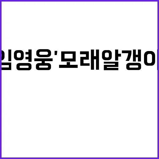 임영웅 