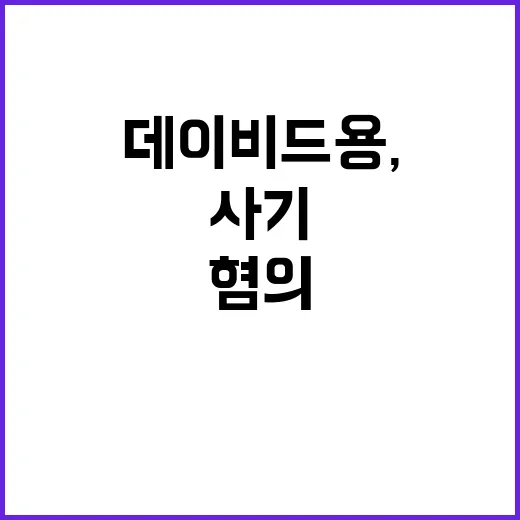 데이비드 용, 사기…