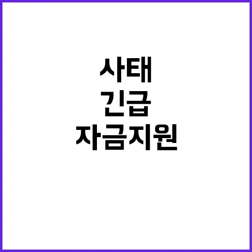 중기부, 긴급자금 …