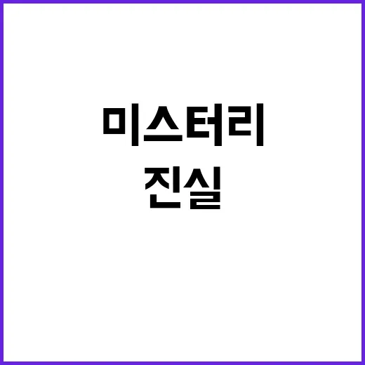 ‘새끼 곰 미스터리…