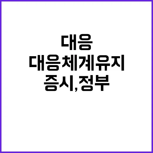 증시, 정부의 이례…