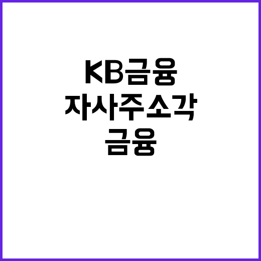 자사주 소각, KB…