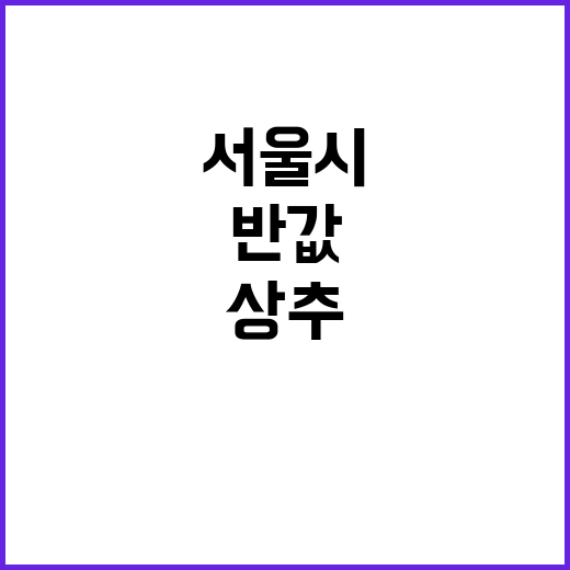 상추, 서울시 반값…