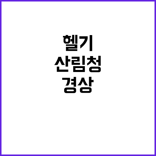 헬기 사고, 산림청…