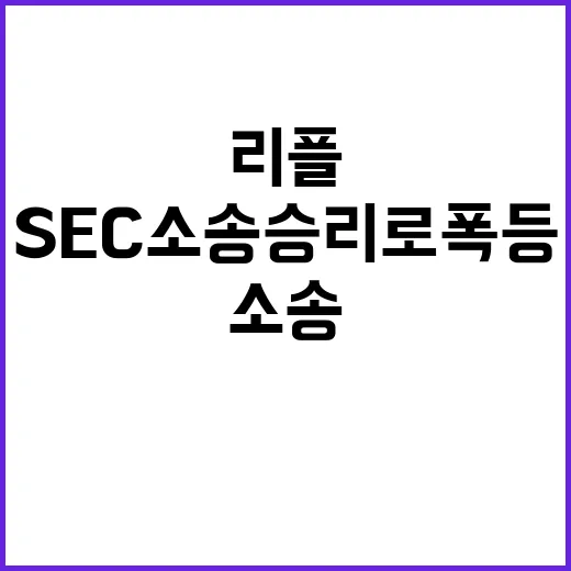 리플, SEC 소송 승리로 폭등한 주식의 비밀!