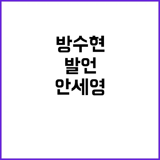 안세영 금메달, 방…