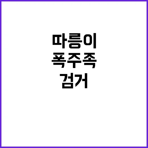 [폭주족] 따릉이 …