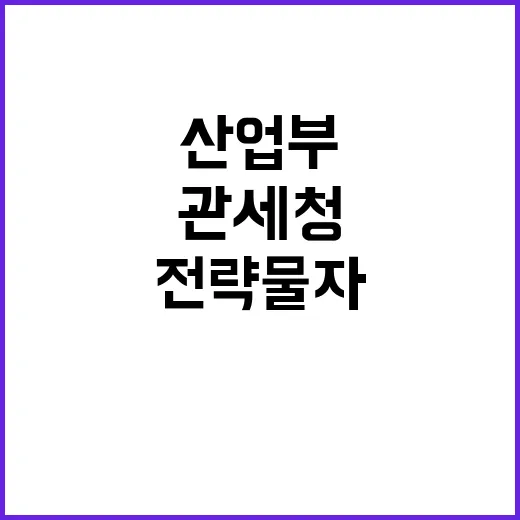 전략물자 단속, 산업부와 관세청 협업 발표!