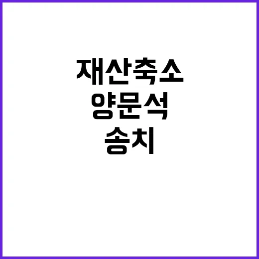 명품백 최재영 재산…