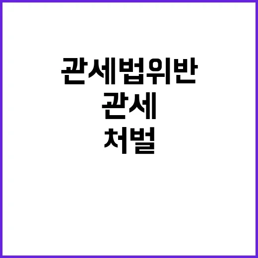 관세법 위반 미배송 물품 재판매 강력 처벌!