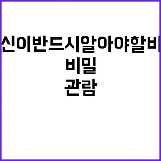 스포츠 관람 당신이…