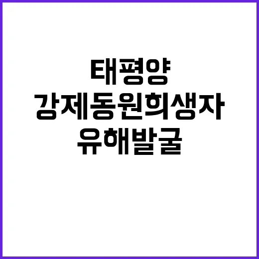 태평양 강제동원 희생자 유해 발굴 한·미 협력!