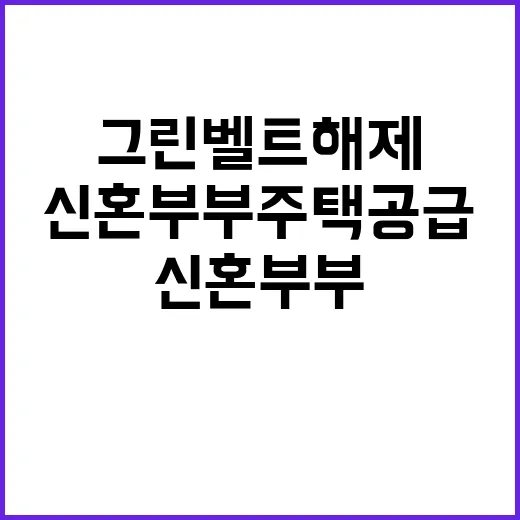 그린벨트 해제 신혼…