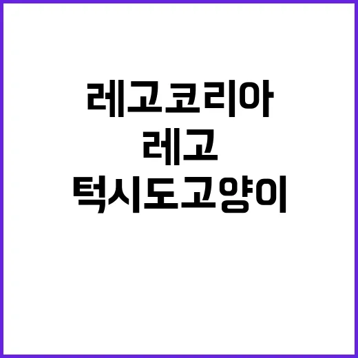 턱시도 고양이의 매력 레고코리아 출시!