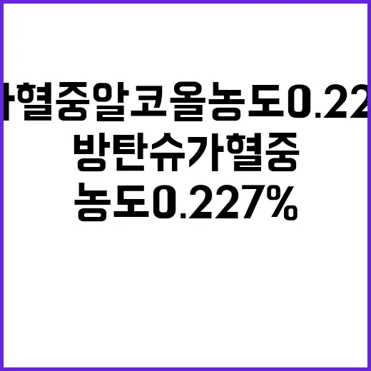 방탄 슈가 혈중 알코올 농도 0.227% 충격 사실!