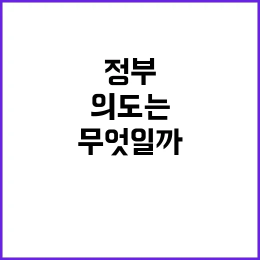 부동산 정부 의도는…