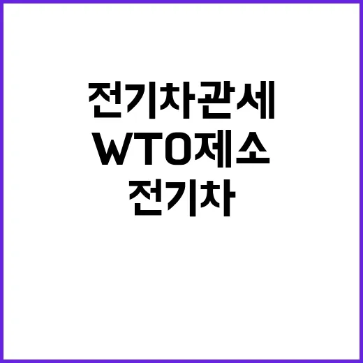 전기차 관세 중국의 WTO 제소로 새국면!