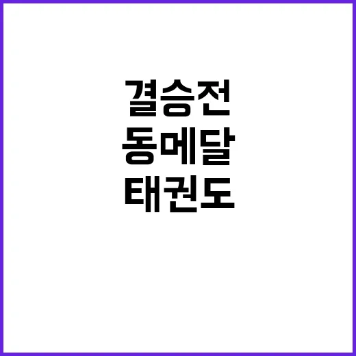 태권도 이다빈 결승…