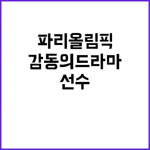 한국 선수들 파리 …