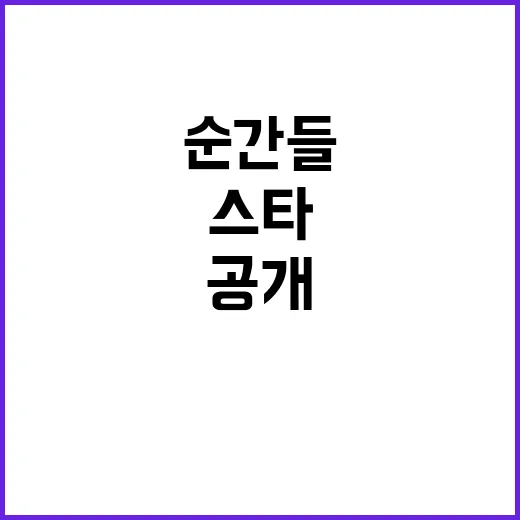 스타들 새롭게 떠오…