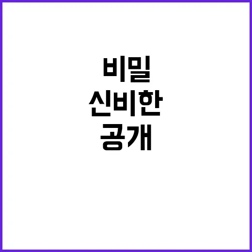 링 본래 모습 되찾다! 신비한 비밀 공개!