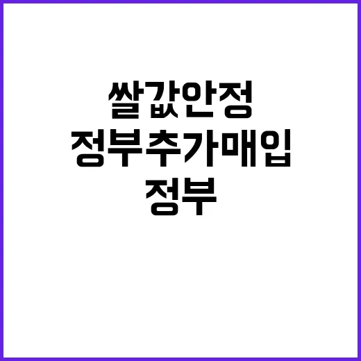 쌀값 안정 정부 추가 매입 없다! 충격 사실!