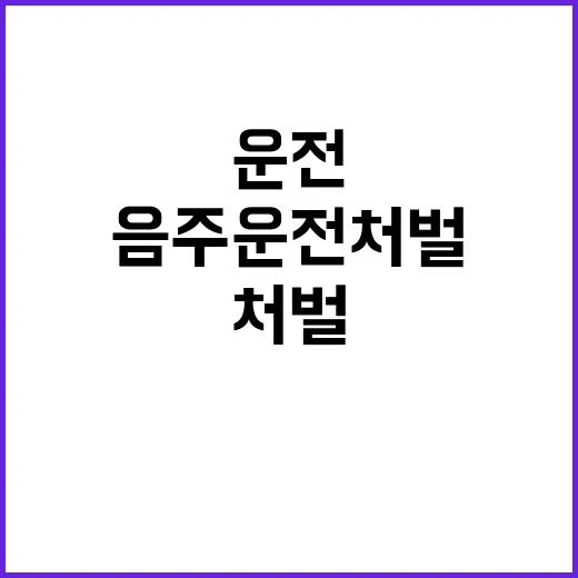 음주운전 처벌 대폭…