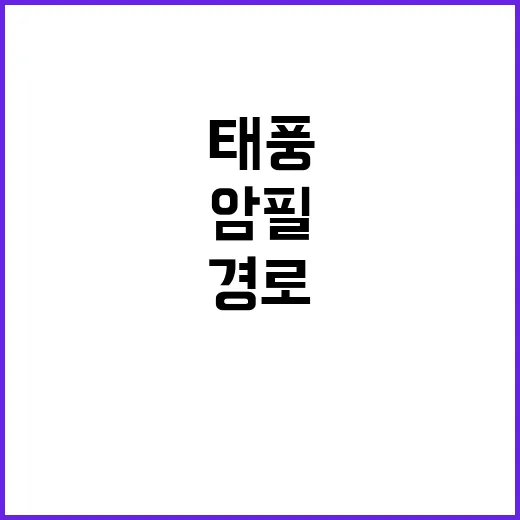 태풍 암필 경로…일본 도쿄 향해 북상 중!