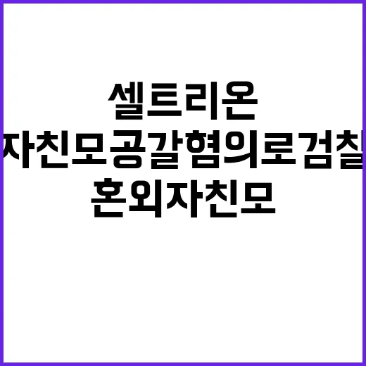 셀트리온 혼외자 친모 공갈 혐의로 검찰 송치!