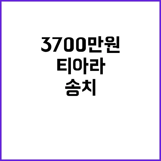 티아라 3700만원…