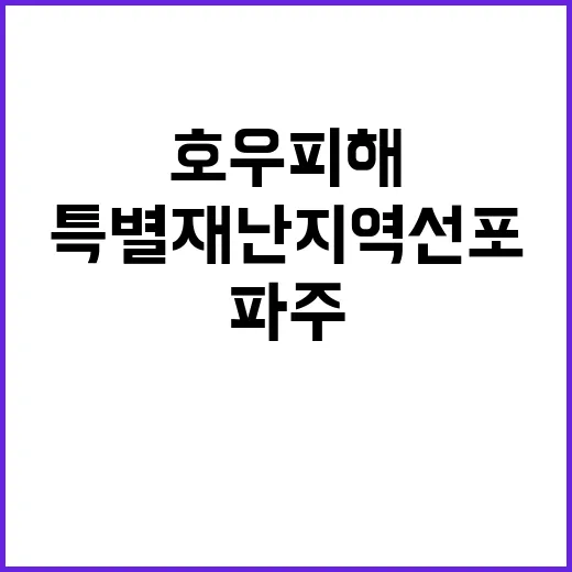 호우 피해 파주·당…