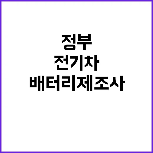 전기차 배터리 제조사 정부의 공개 권고 نافى!