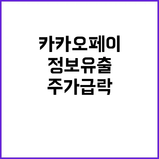 알리페이 고객정보 유출 카카오페이 주가 급락!