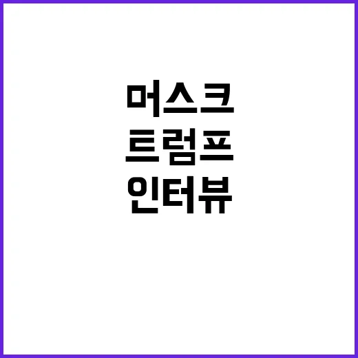 디도스 공격 트럼프…