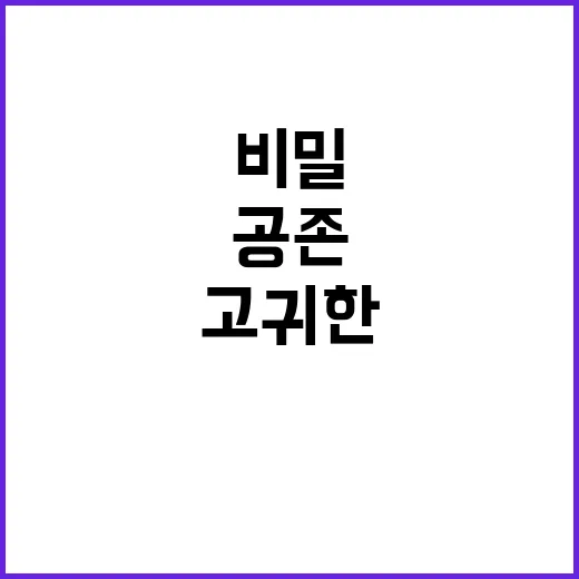 무궁화의 고귀한 모…