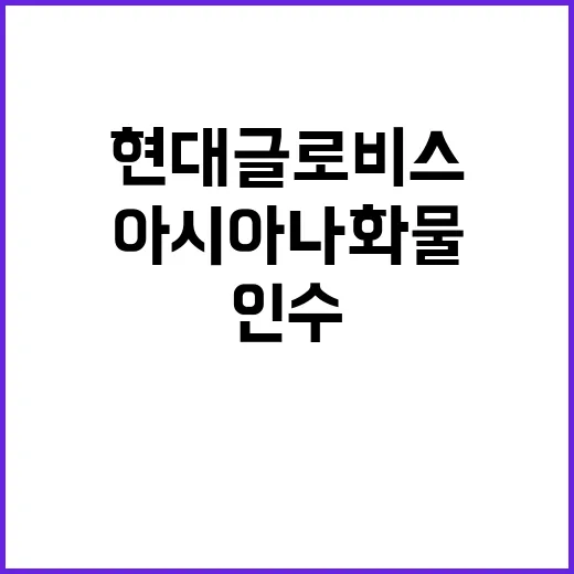 현대글로비스 아시아나 화물 인수로 큰 수익 전망!