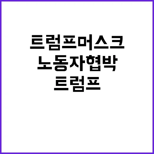 트럼프머스크 X대담…