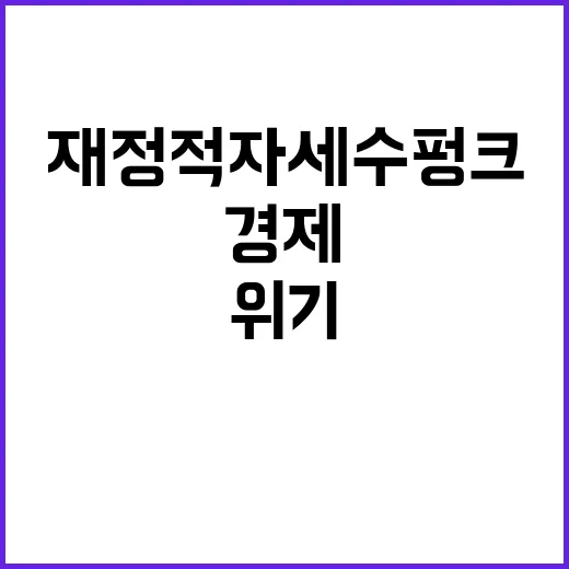 재정적자 세수 펑크! 미래 경제 위기 경고!