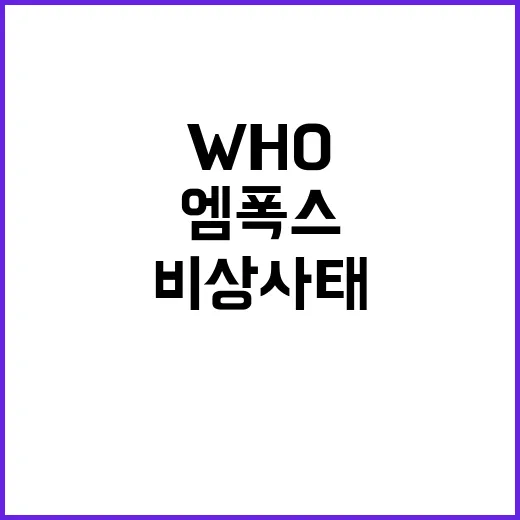 엠폭스 비상사태 WHO 재선포로 인한 충격!