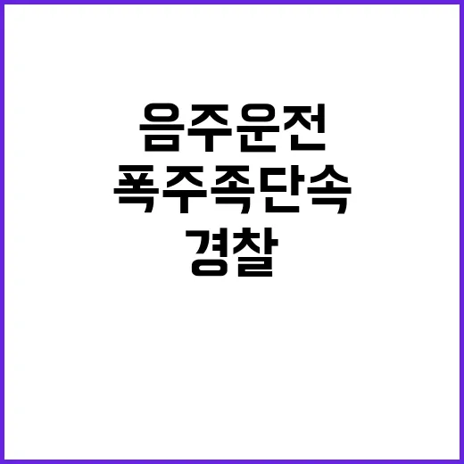 폭주족 단속 경찰이 음주운전 789건 적발!