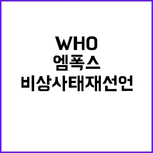 엠폭스 경고! WHO 비상사태 재선언 이유는?