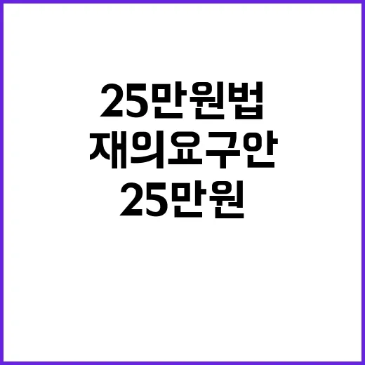 ‘25만원법’ 재의요구안 대통령의 결정은?