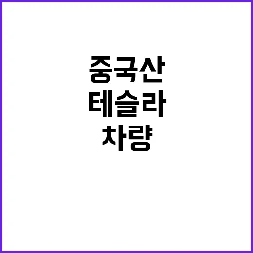 테슬라 배터리 중국…