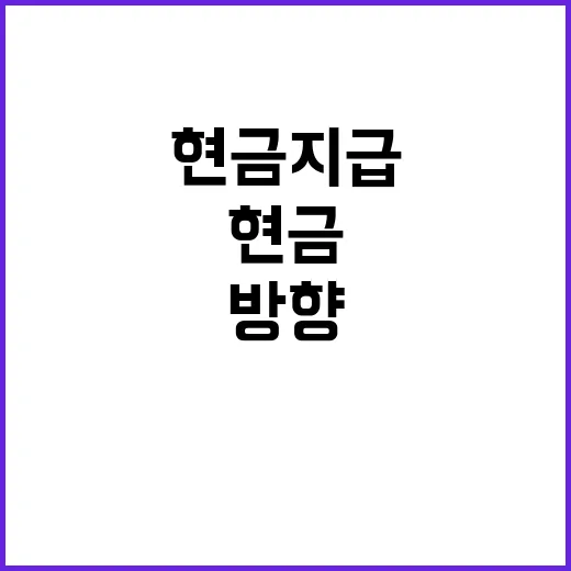 현금 지급 계획 철…