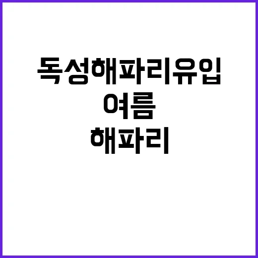 독성 해파리 유입 …