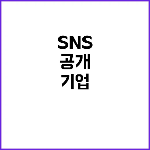 SNS 과의존 해소 기업 의견 수렴 내용 공개!