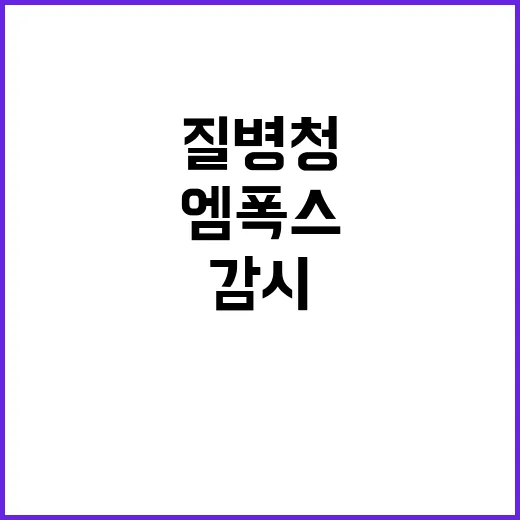 엠폭스 경고! 질병청 검역과 감시 강화 발표