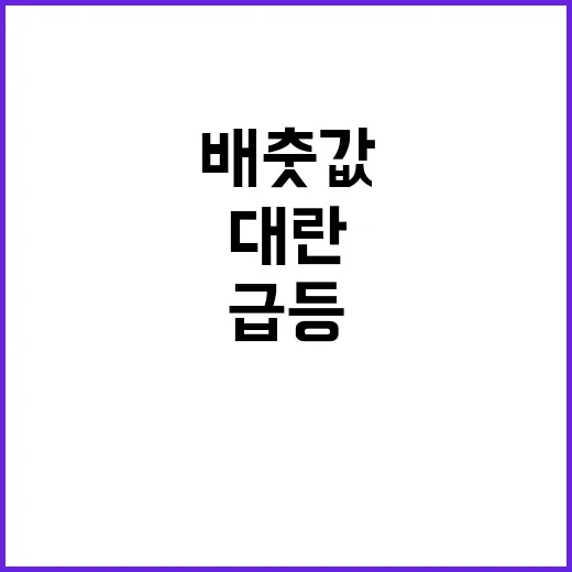 배춧값 급등…추석 …