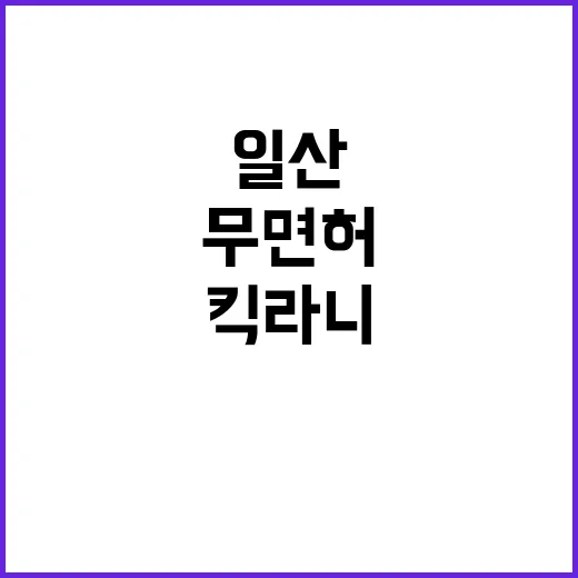 일산 킥라니 무면허…